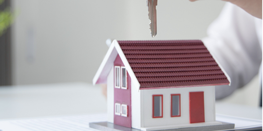 NAKLİYAT ŞİRKETİ İSTANBUL (2)